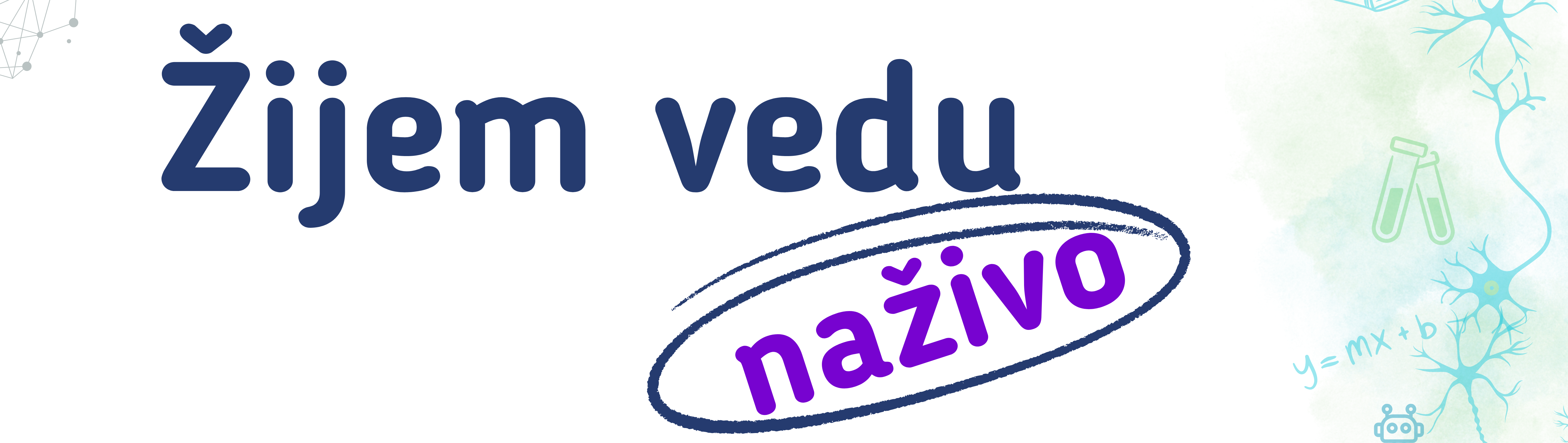 ZVN2026